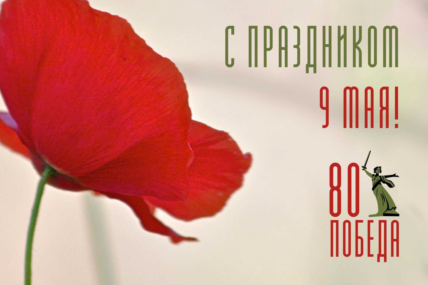 Поздравляем с 80-летием Победы в Великой Отечественной войне!